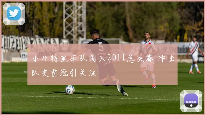 小牛特里率队闯入2011总决赛 冲击队史首冠引关注