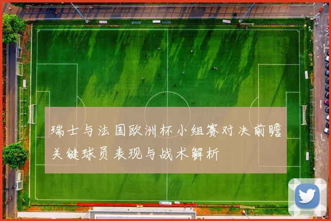 瑞士与法国欧洲杯小组赛对决前瞻关键球员表现与战术解析
