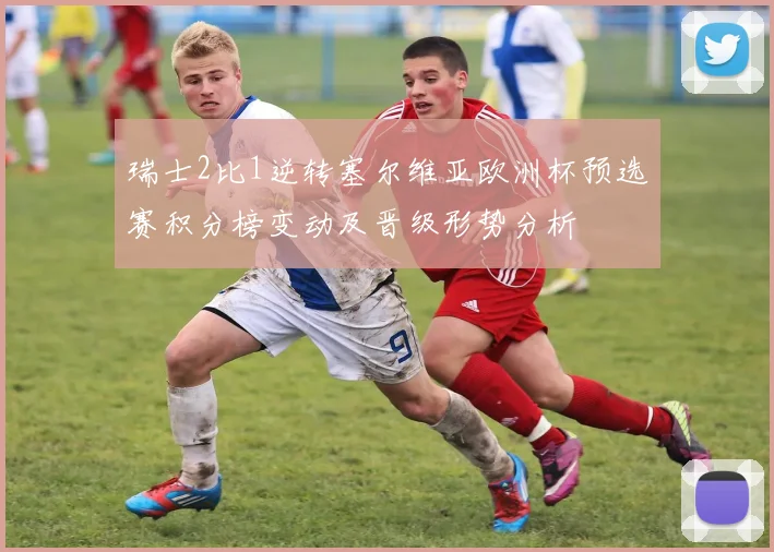 瑞士2比1逆转塞尔维亚欧洲杯预选赛积分榜变动及晋级形势分析