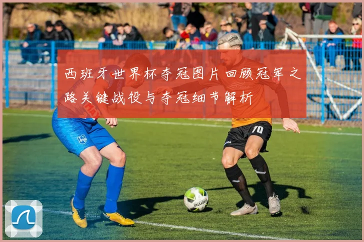 西班牙世界杯夺冠图片回顾冠军之路关键战役与夺冠细节解析