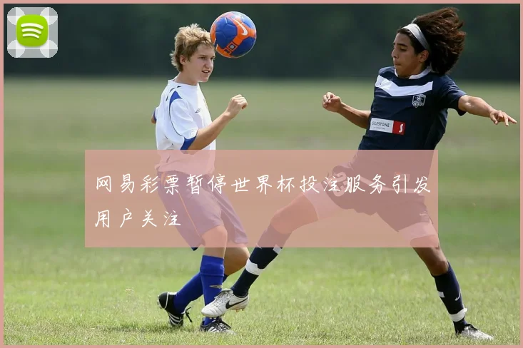 网易彩票暂停世界杯投注服务引发用户关注