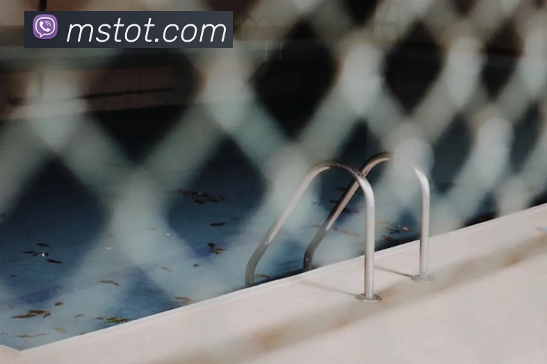 拼搏体育APP 封面图